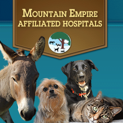 Veterinary Services, Mountain Empire Small Animal Hospital