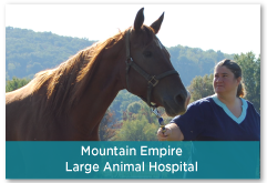 Contact Us, Mountain Empire Small Animal Hospital