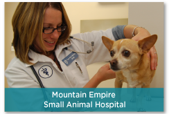 empirevetcare.com - animal medical centres website - BNEXT