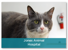 Jones Animal Hospital